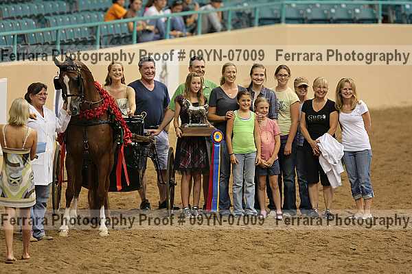 Proof 09yn-07009