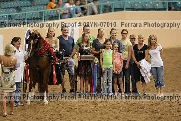 Proof 09yn-07010