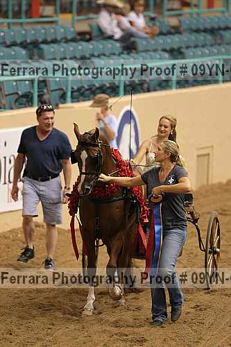 Proof 09yn-07011