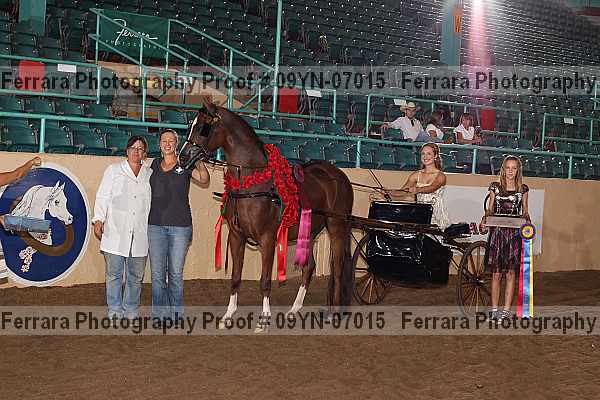 Proof 09yn-07015
