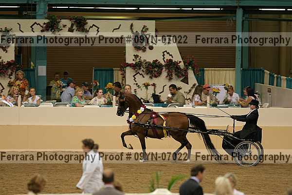Proof 09yn-07022