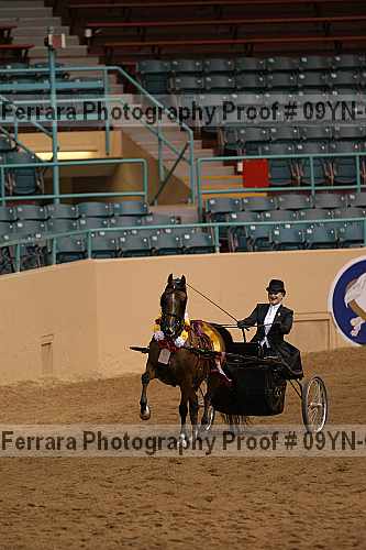 Proof 09yn-07023