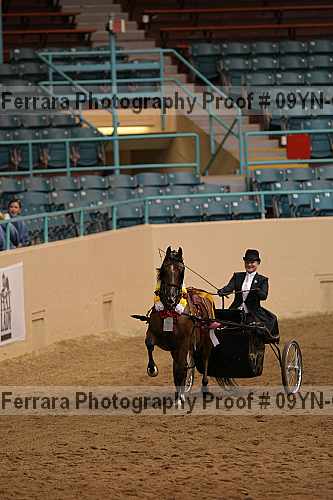 Proof 09yn-07024