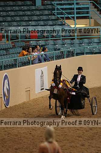 Proof 09yn-07025