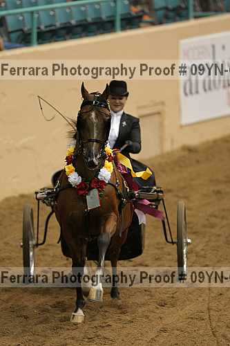 Proof 09yn-07027