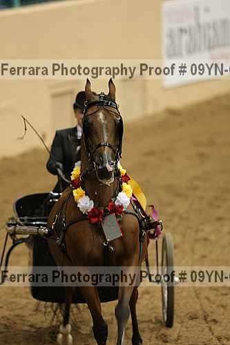 Proof 09yn-07028