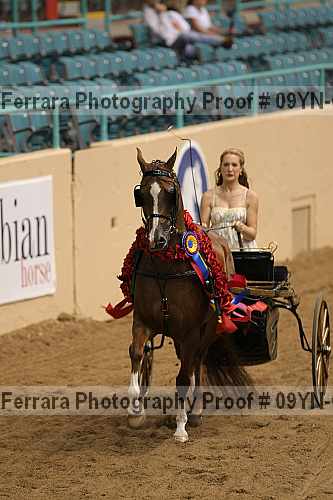 Proof 09yn-07029
