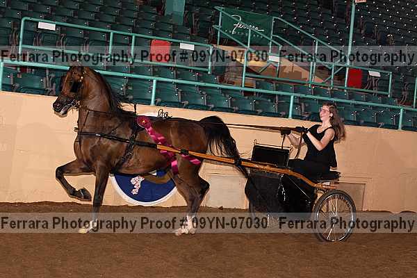 Proof 09yn-07030