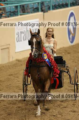 Proof 09yn-07031