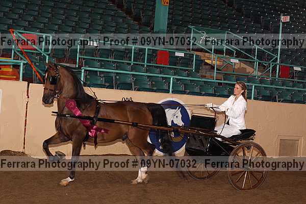 Proof 09yn-07032
