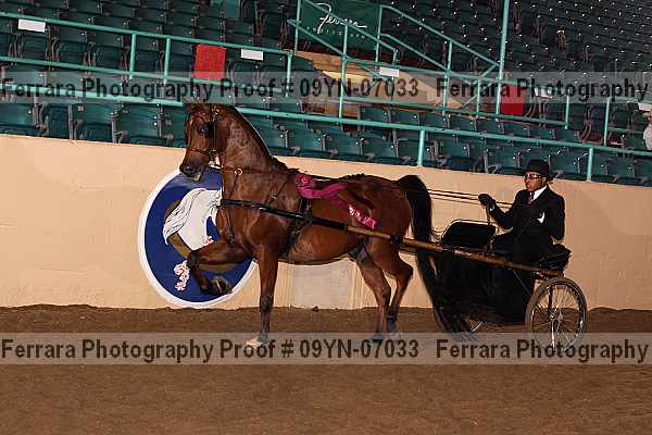 Proof 09yn-07033