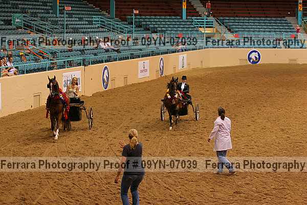 Proof 09yn-07039