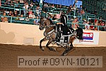 09yn-10121 proof