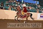 09yn-10127 proof