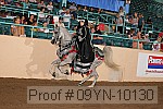 09yn-10130 proof