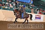 09yn-10132 proof