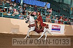 09yn-10133 proof