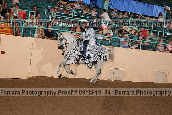 Proof 09yn-10134
