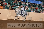 09yn-10134 proof