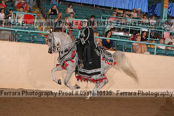 Proof 09yn-10135