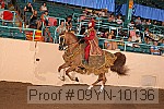 09yn-10136 proof
