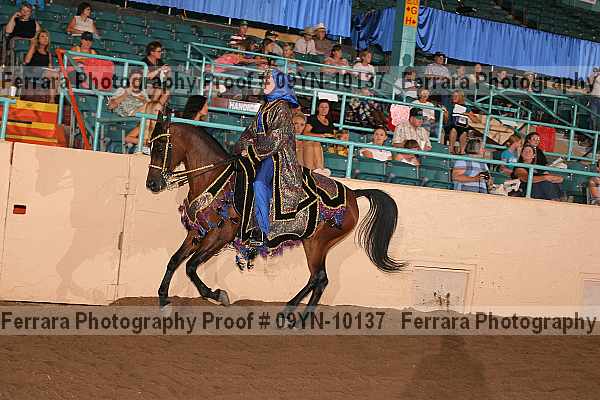 Proof 09yn-10137