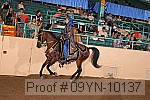 09yn-10137 proof