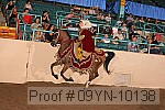 09yn-10138 proof