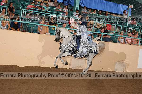 Proof 09yn-10139
