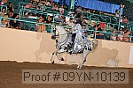 09yn-10139 proof