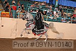 09yn-10140 proof