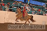 09yn-10141 proof