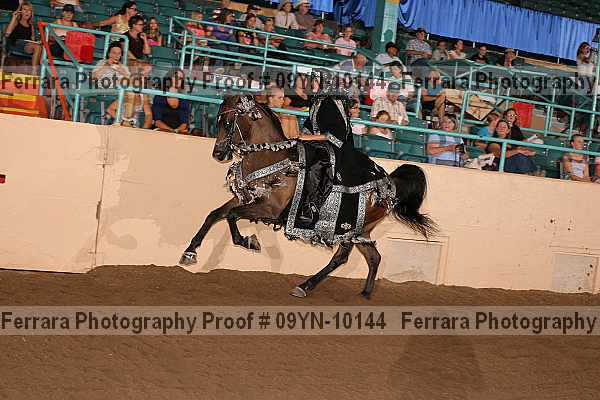 Proof 09yn-10144