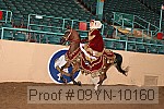 09yn-10160 proof