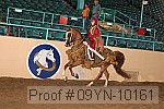 09yn-10161 proof
