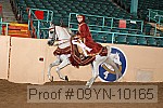 09yn-10165 proof