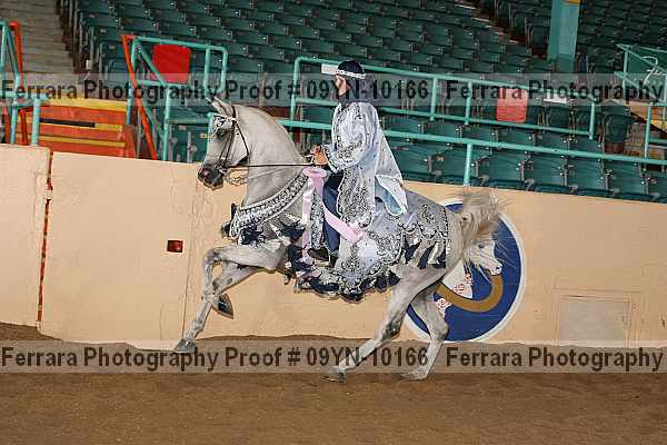 Proof 09yn-10166