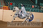 09yn-10166 proof