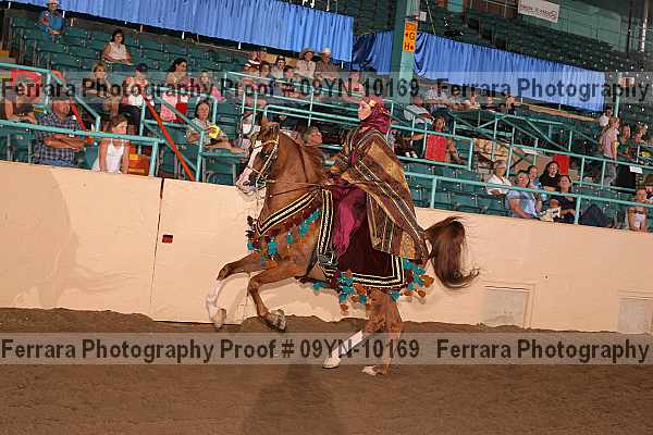 Proof 09yn-10169