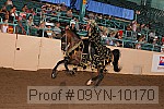 09yn-10170 proof
