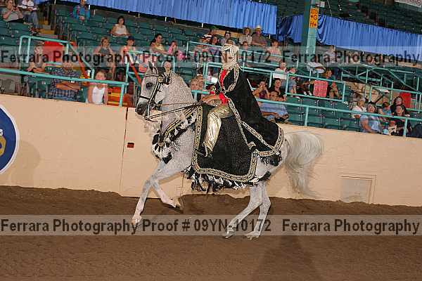 Proof 09yn-10172