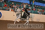 09yn-10172 proof