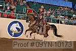 09yn-10173 proof
