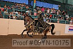 09yn-10175 proof