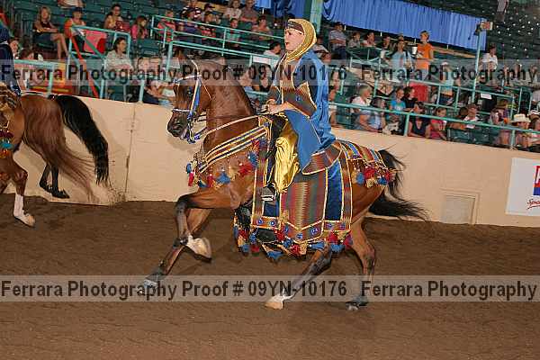 Proof 09yn-10176