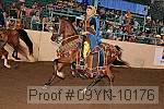 09yn-10176 proof