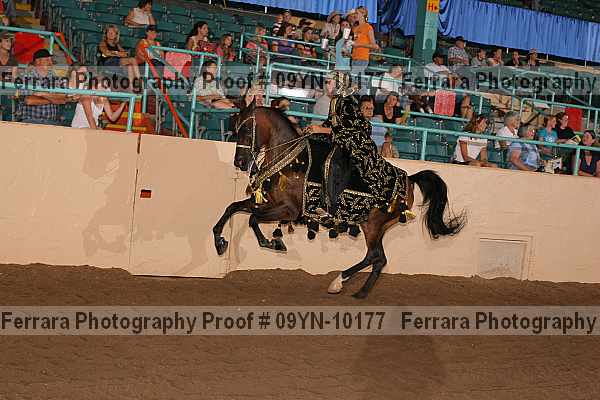 Proof 09yn-10177