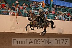 09yn-10177 proof