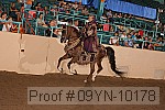 09yn-10178 proof