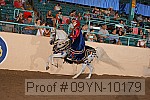 09yn-10179 proof